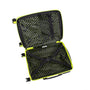 Pleating - 3pc Set (Lime Punch)