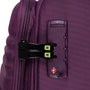 Circulator - Large (Italian Plum)