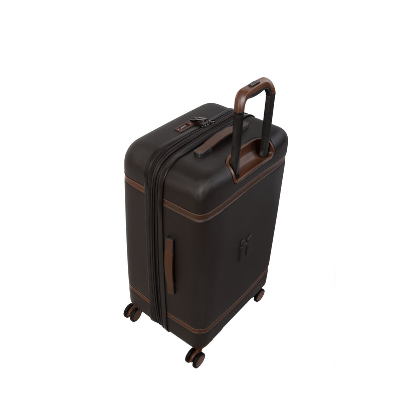 Extravagant Trunk - Large (Brown)