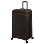 Extravagant Trunk - Large (Brown)