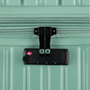 Jumbo Trunk - Large (Granite Green)