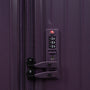 Legion Trunk - Medium (Plum Perfect)