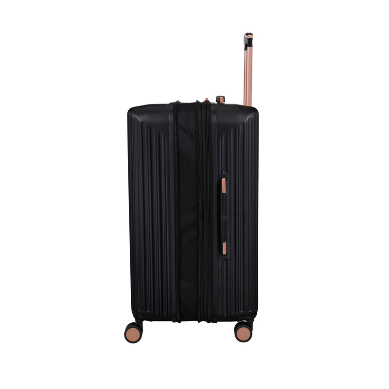 Luxuriant Trunk - Medium (Black)