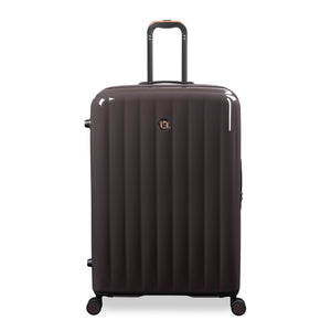 Zonation - Large (Brown)