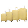 Continuous - Medium (Mellow Yellow)