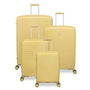 Continuous - Medium (Mellow Yellow)
