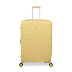Continuous - Large (Mellow Yellow)