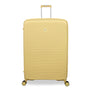 Continuous - 4pc Set (Mellow Yellow)