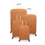 Continuous - 4pc Set (Pumpkin Spice)
