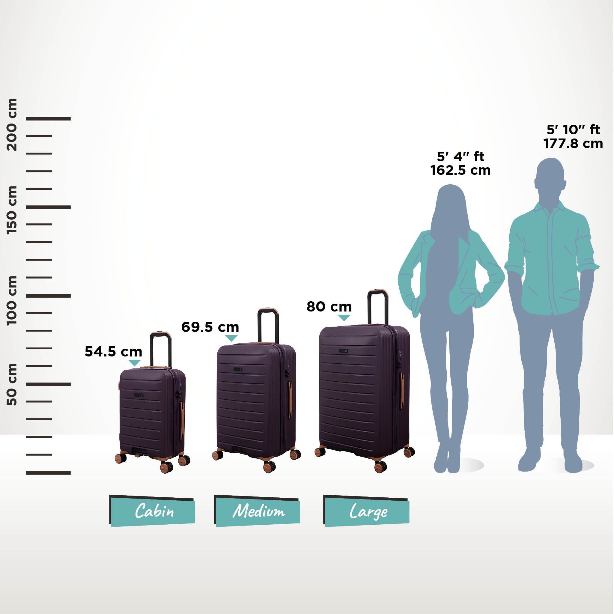it Luggage | Legion Trunk - Large in Plum Perfect