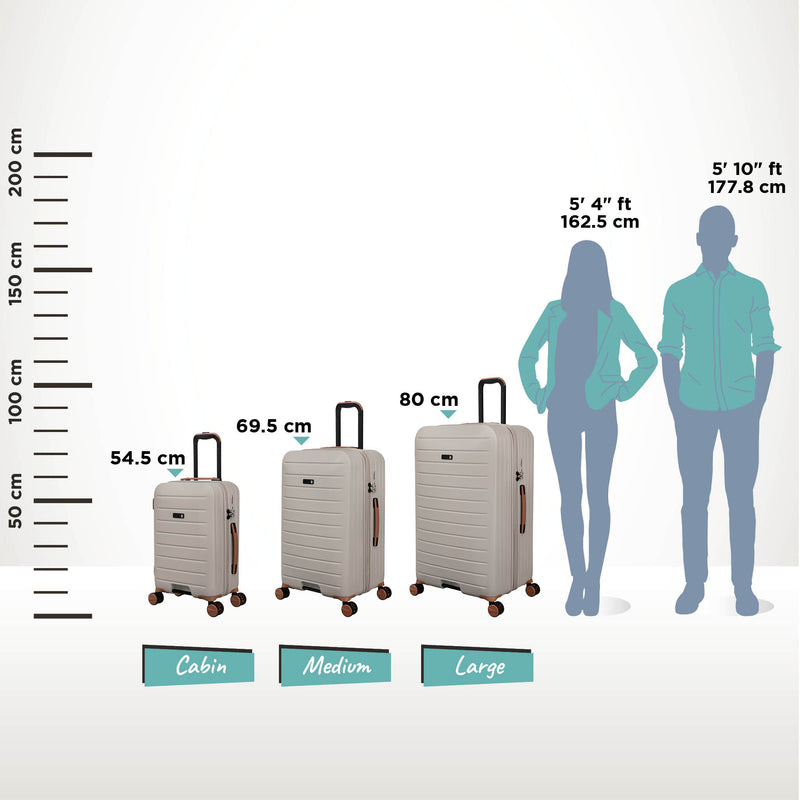 Legion Trunk - Medium (Silver Lining)