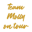 Modify - Personalised Panel (Team on Tour - Name)