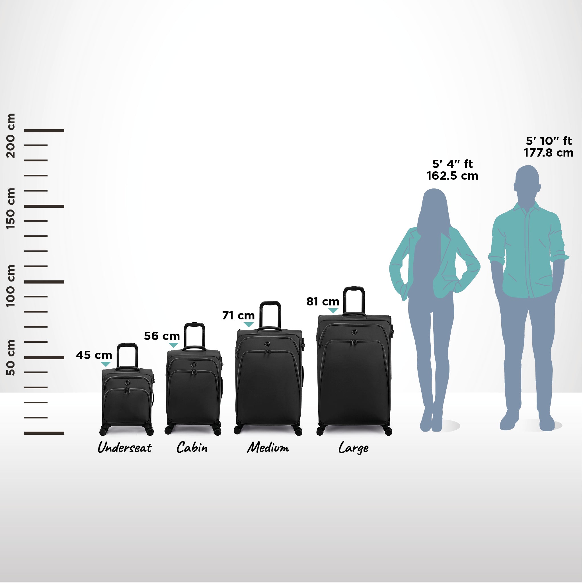 it Luggage | Trinary - Large in Black