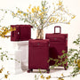 Lustrous Luxe - 3pc Set (French Port)