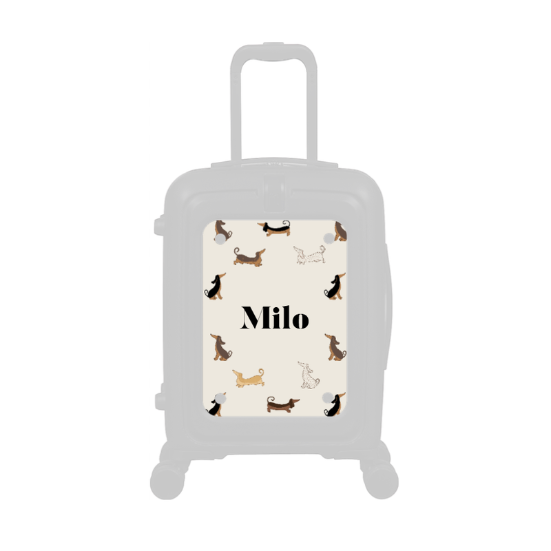 Modify - Personalised Panel (Daxie Border - Name)