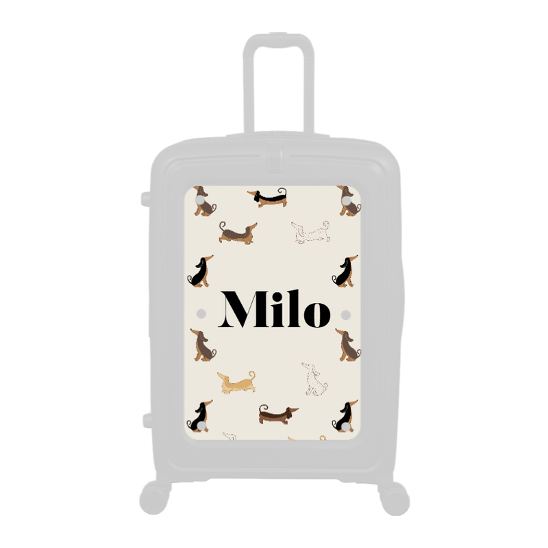 Modify - Personalised Panel (Daxie Border - Name)