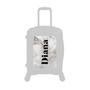 Modify - Personalised Panel (Grey Gold Marble - Side Name)