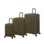 Rapidity - Medium Plus (Dark Olive)