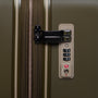 Rapidity - 3pc Set (Dark Olive)